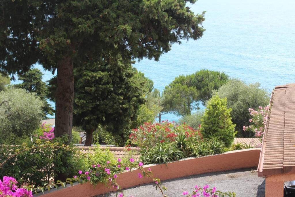 Conca Verde Appartamento Sul Mare Marina dʼMarina dʼAndora Dış mekan fotoğraf
